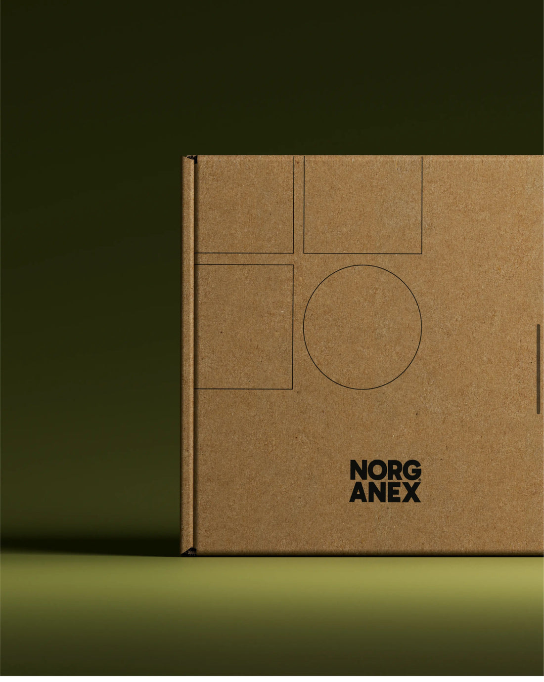 Advanced Hair Regrowth Oil (3 Pack)